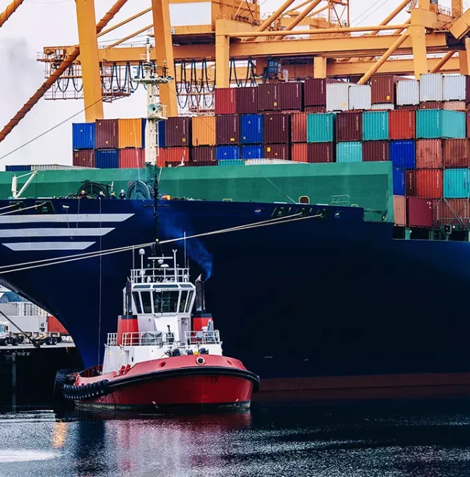 experto-univercitario-transporte-maritimo-puertos.webp experto-univercitario-transporte-maritimo-puertos.webp